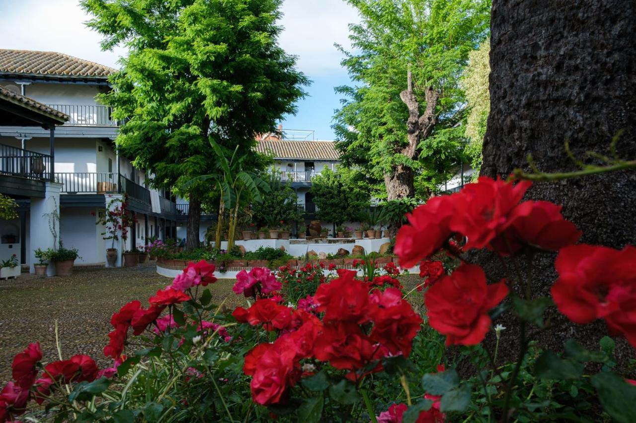 セビリアVista Corral Del Condeアパートメント エクステリア 写真