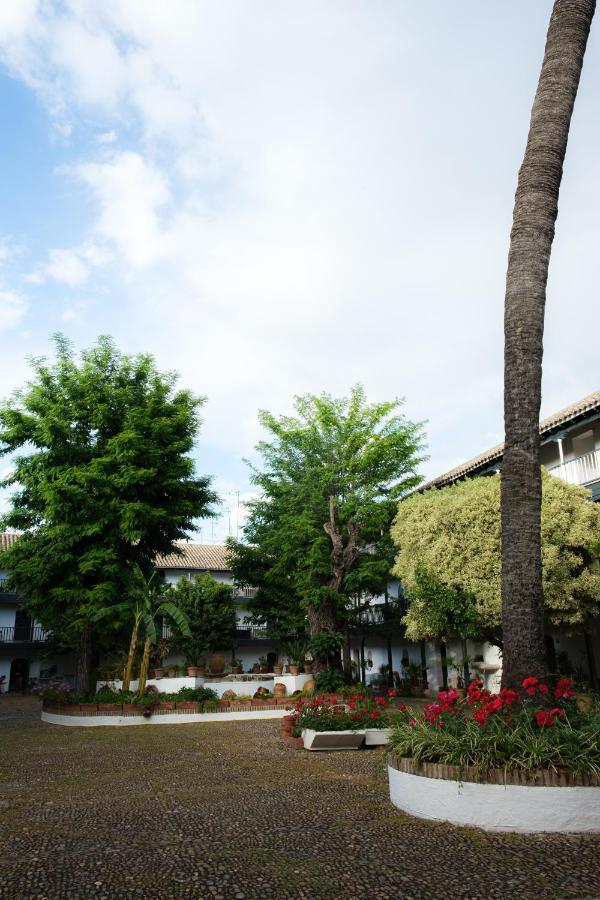 セビリアVista Corral Del Condeアパートメント エクステリア 写真